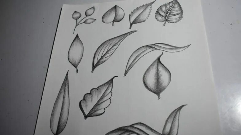 Рисунок на согнутом листе. Простые оптические иллюзии на бумаге. 3d иллюзии на бумаге. Лепестки нарисованные. Листья и цветы карандашом.