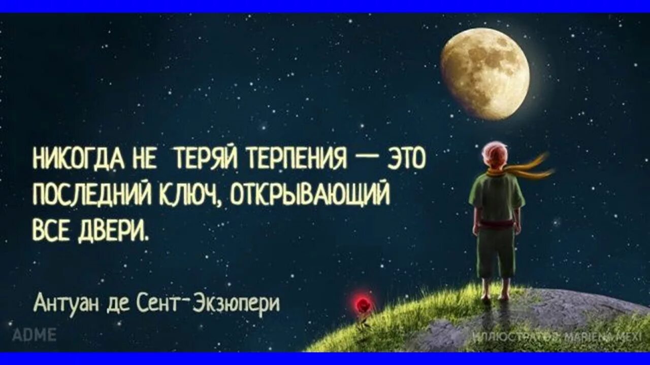 Терпеть терять терять. Никогда не теряй терпения. Никогда не теряй терпения это последний. Никогда не теряй терпения это последний ключ открывающий все двери. Никогда не теряй терпения Экзюпери.