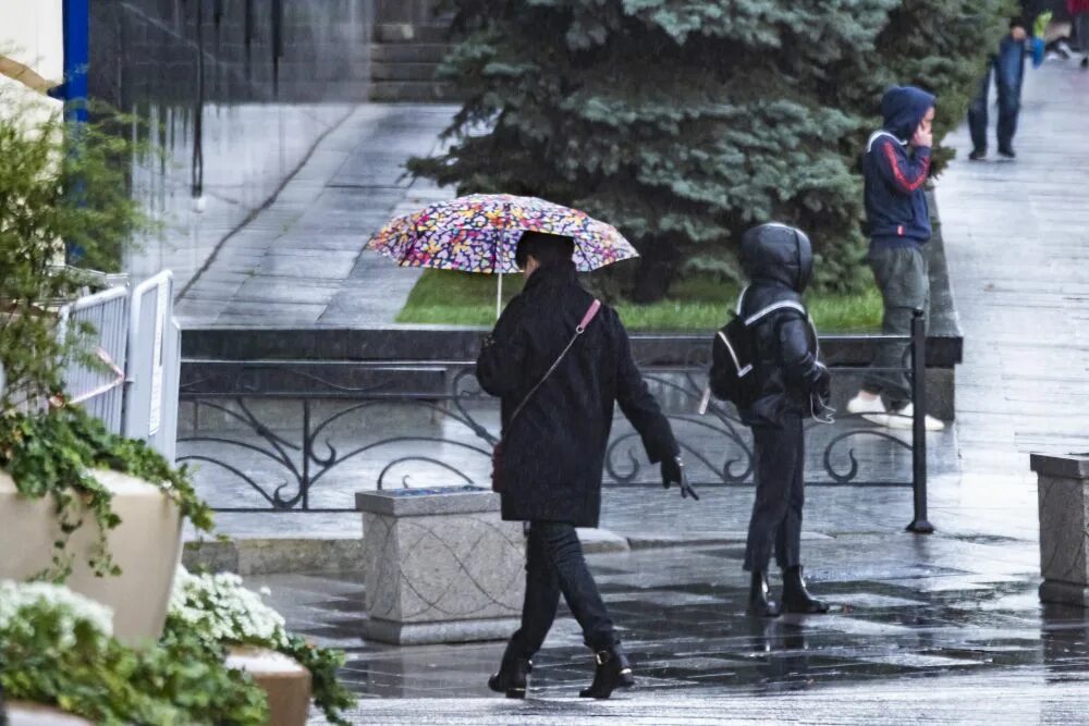 Дождь не прекращавшийся в течение ночи. Дождливая погода. Небольшой дождь. Дождь в Москве. Дождливая погода фото.