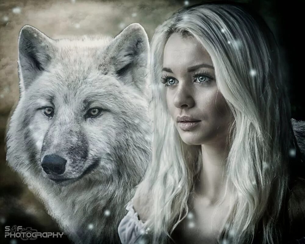 Она видела волка. Девушка с волком. Фотосессия с волком. Красивая девушка с волком. Белый волк и девушка.