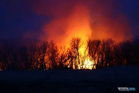 Поверхностный пожар