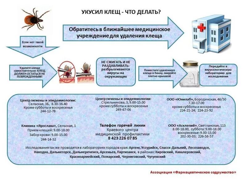 Лекарства при укусе клеща. Лекарства при укусе клеща
