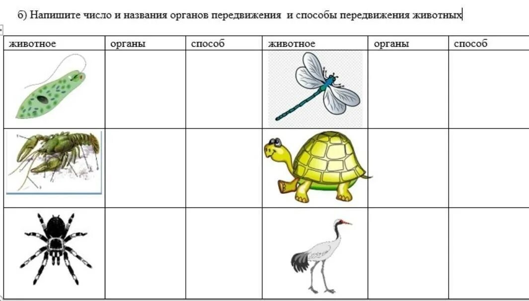 Составьте схему передвижения животных. Движение животных таблица. эволюция органов передвижения животных. способы передвижения животных. способы передвижения животных 7 класс биология таблица.