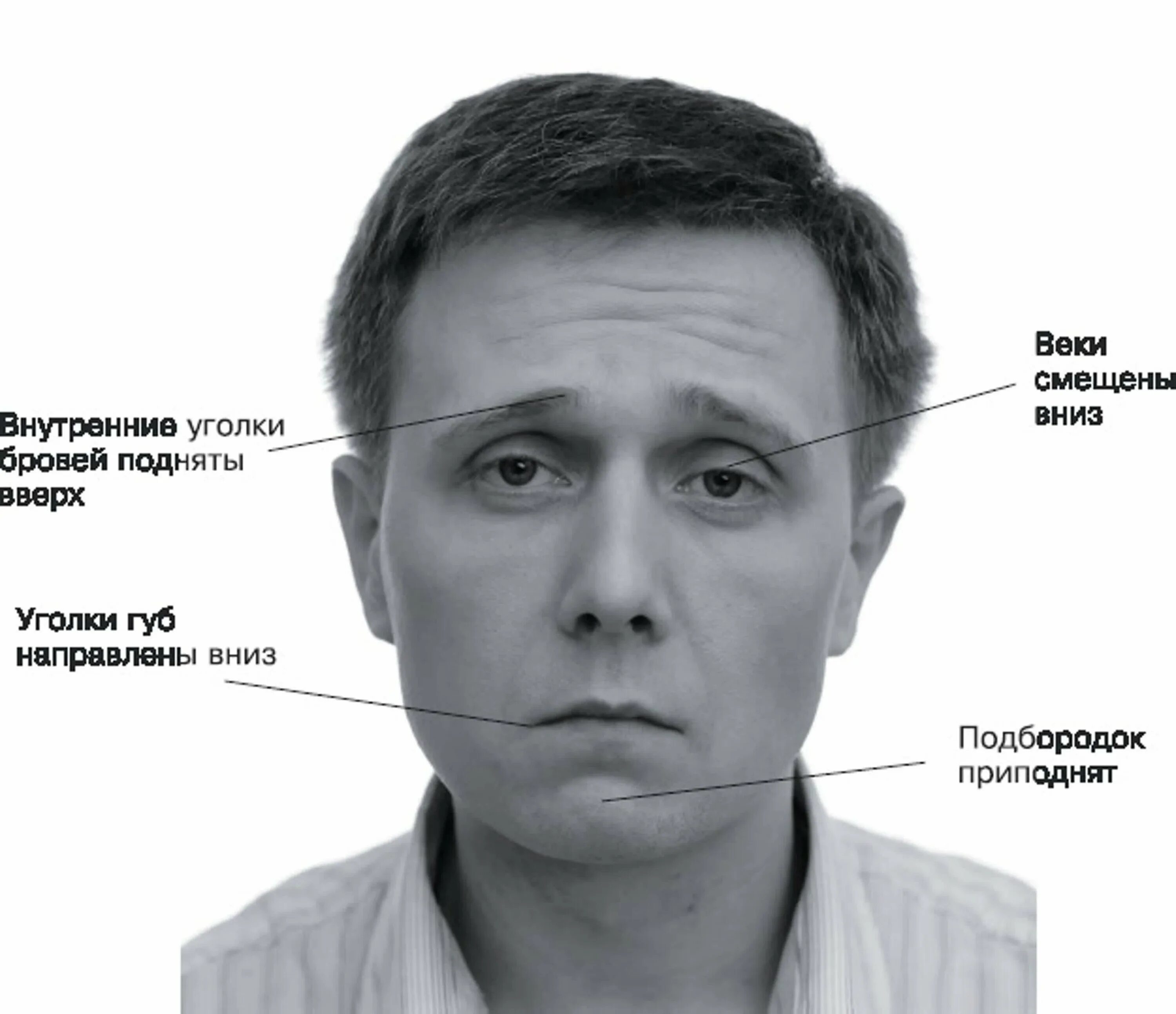 Мимика почему и