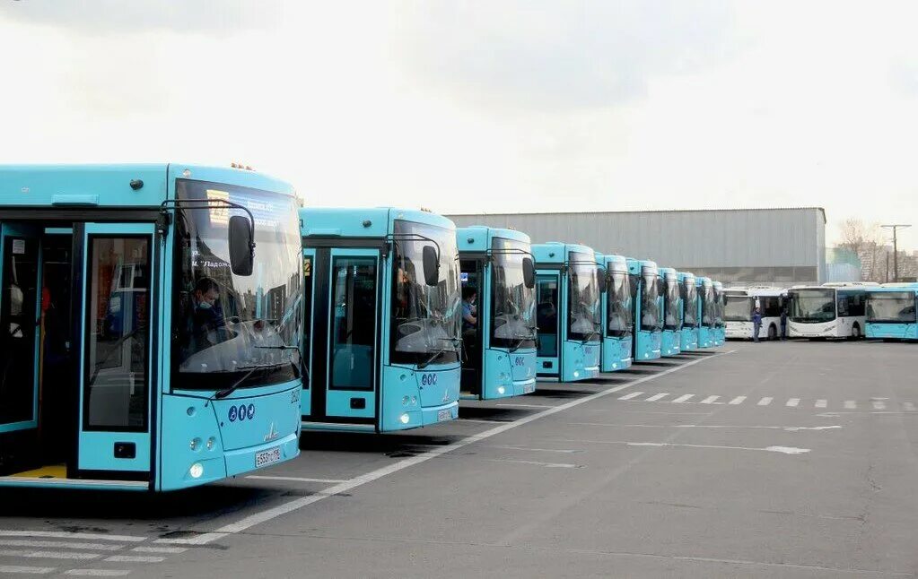 нефаз 5299 спб автобусный. пассажиртранс санкт-петербург. автобус в городе. маз 203015. новые автобусы питера.