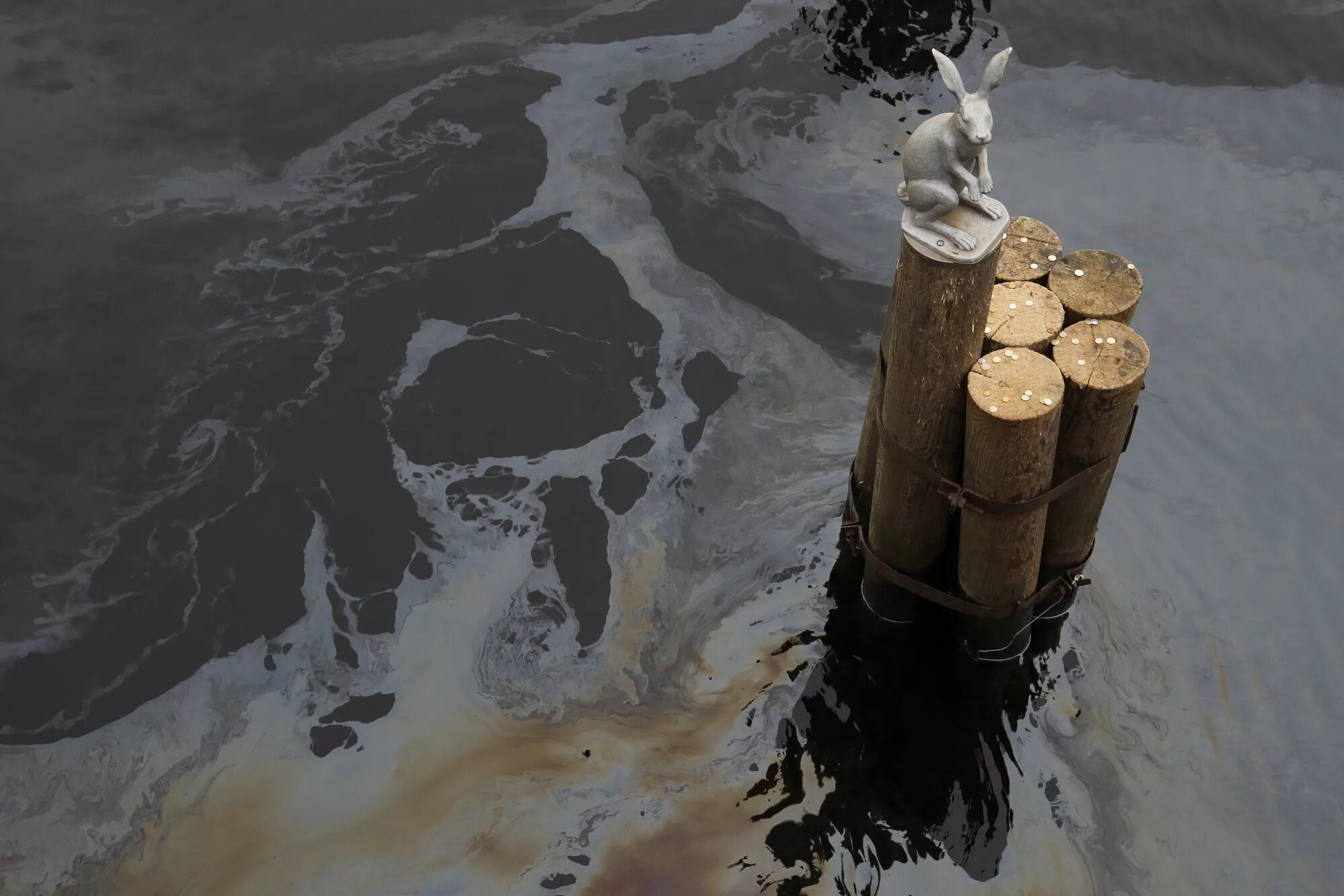 Как деятельность людей влияет на реку неву. Нева нефть. Загрязнение реки Невы. Экологичный дисперсант разлитой нефти. Фото разлив масла обои падение.