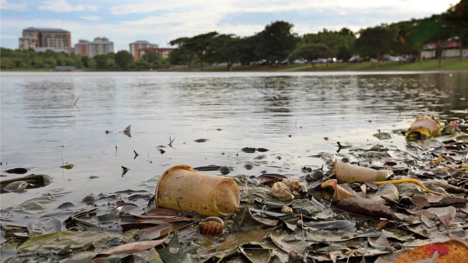 Загрязнение водоемов. Загрязненные водоемы. Засорение водоемов. Загрязнение рек. Рост загрязнения воды