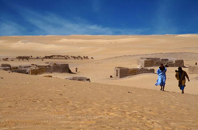 Вади Хальфа. Вади-Хальфа Судан. Песок Тревел. Hottest place - Araouane, Mali. Караван вода