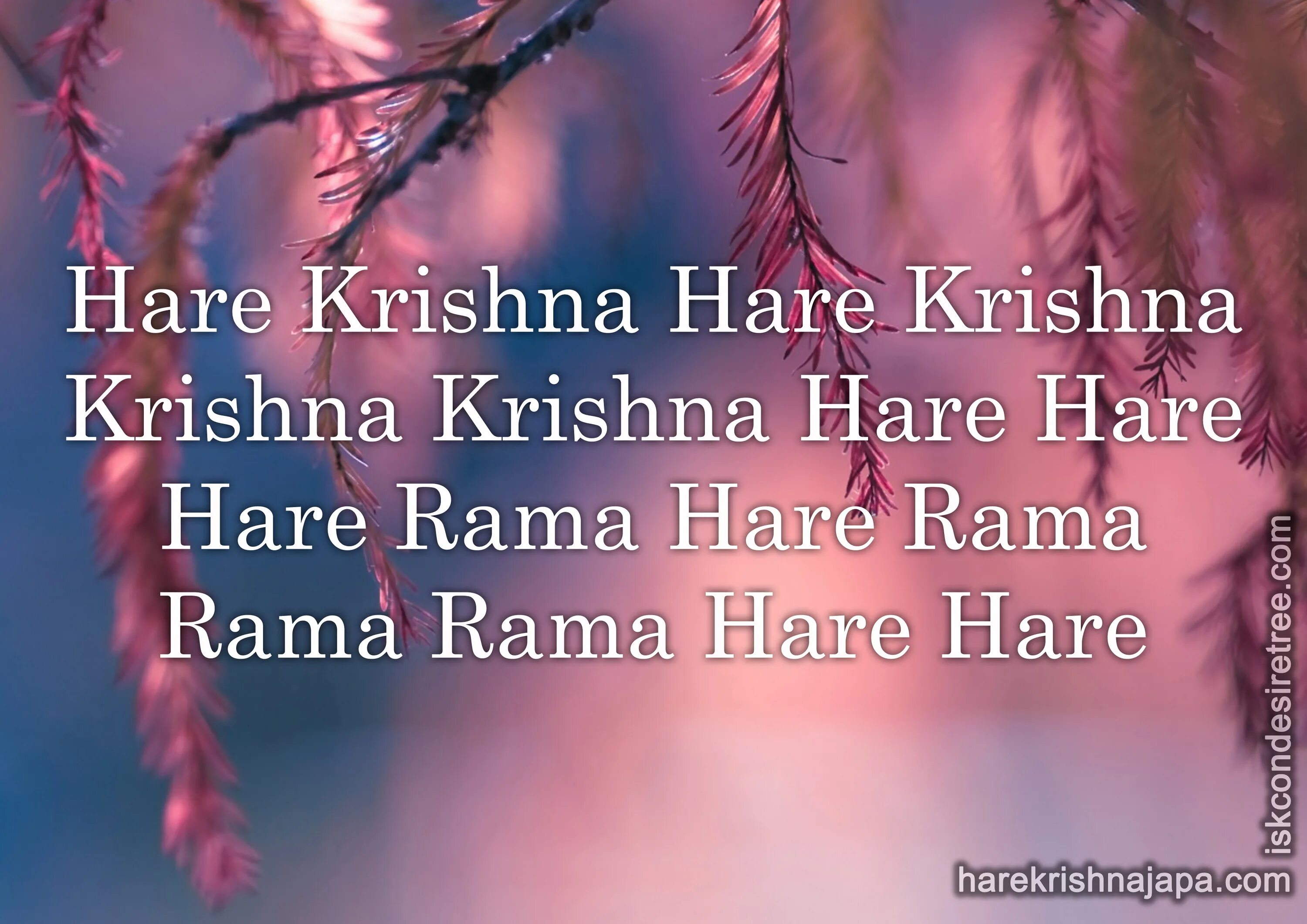 Харе кришна что означает. Харе кришна маха мантра. харе кришна перевод. hare krishna перевод. хари кришна хари рама.