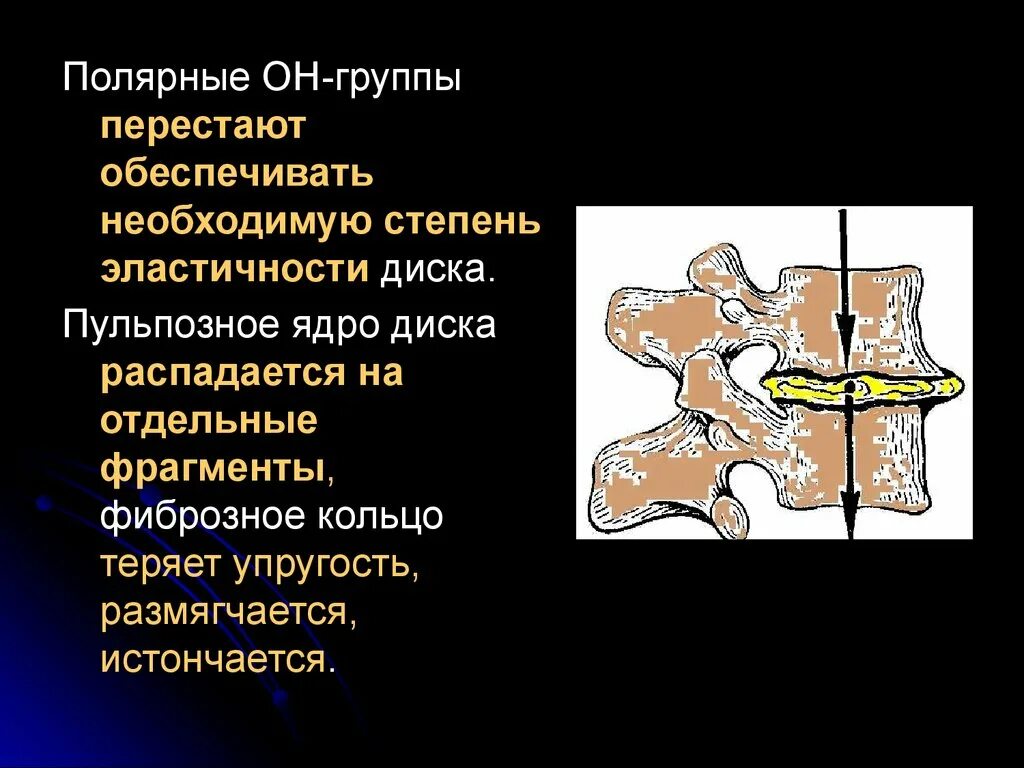 Содержимое межпозвоночного диска. Пульпозное ядро межпозвоночного. Питание межпозвонкового диска. Что такое пульпозное ядро позвоночника. Фиброзное кольцо позвоночника.