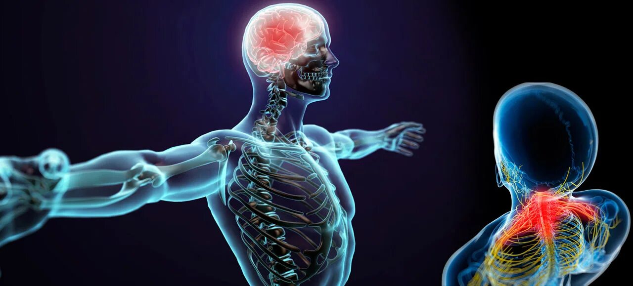 дыхание костей