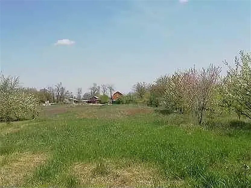 Красносамарское. Велигонты. Продам участок самарское. Продам участок самарское. Село молгачи самарская область.