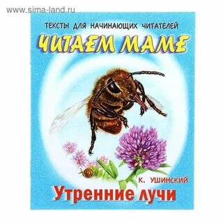 Рассказ утро читать