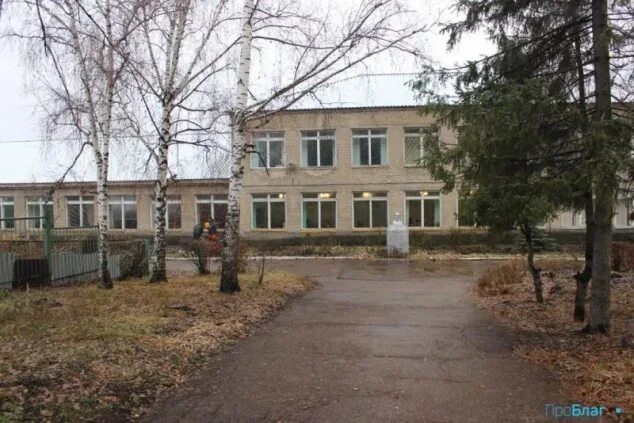 Школа 2 благовещенск. Благовещенск башкортостан гимназия 1. первая школа благовещенск рб. 4 гимназия благовещенск.