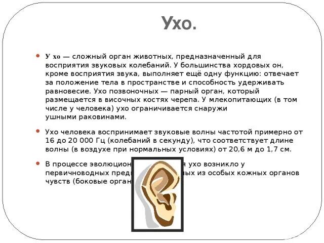 Уши звуки и буквы. Орган слуха у позвоночных животных. Эволюция органа слуха у позвоночных животных таблица. Эволюция органа слуха. Эволюция органа слуха у позвоночных.