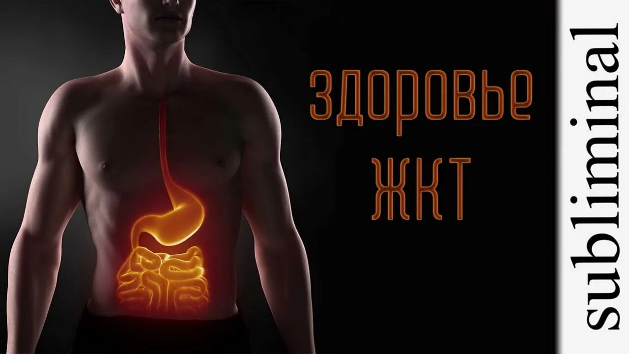 Медитация исцеления жкт