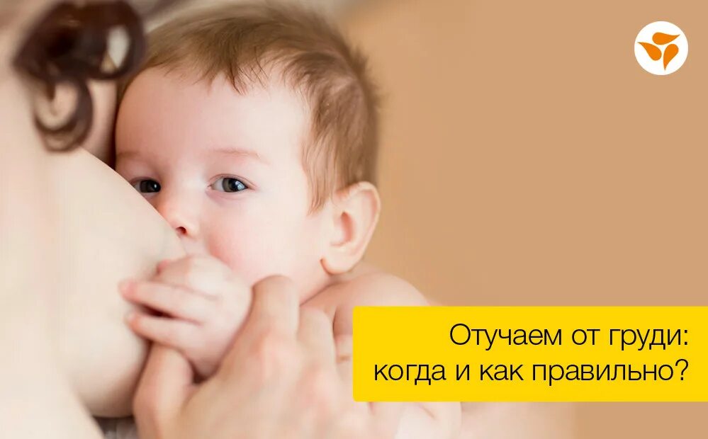 Отучаем ребенка от грудного вскармливания. Отлучение от грудного вскармливания. Отучаем ребенка от грудного вскармливания. Отлучение от груди картина. Хочу ребенка отучить.