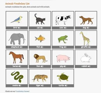 Pets vocabulary