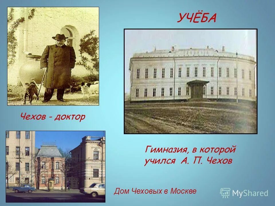 Учеба Антона Павловича Чехова.
