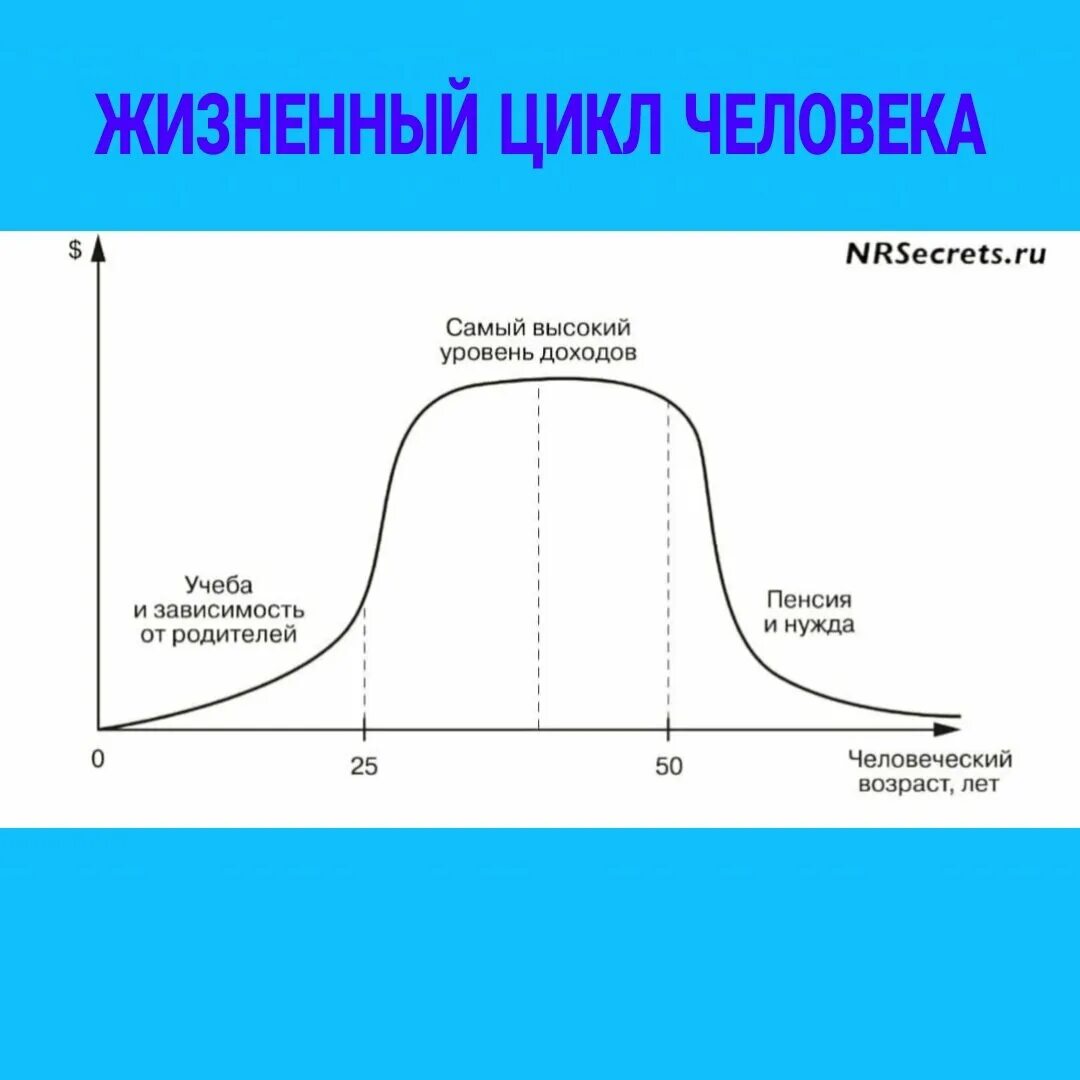 Жизненный цикл активности. Жизненный цикл человека. Жизненный цикл человека схема. Этапы жизненного цикла человека.