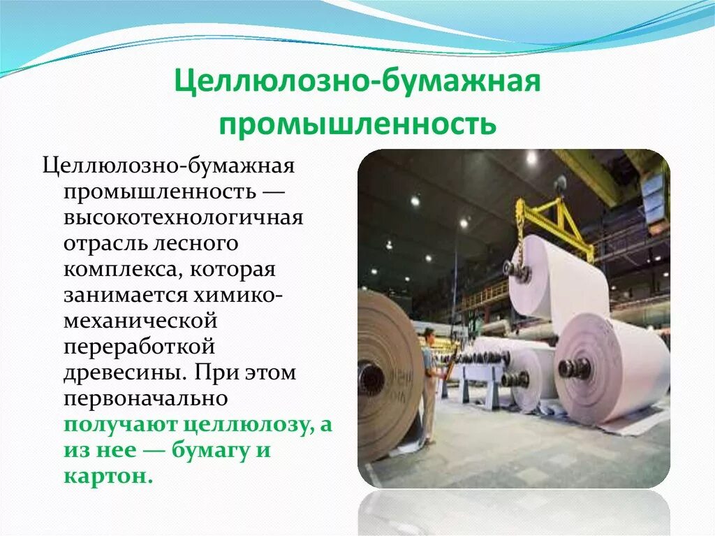 Современное производство бумаги. Как звали самого известного поэта древней греции. Коллекция видов бумаги. Виды бумаги. Как называется большой ватман.