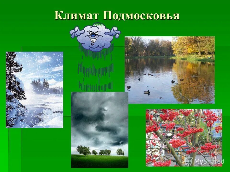 Подмосковье тип климата. Климат московской области. тип климата в московской области. климат московской области фото. климат московской области зимой.