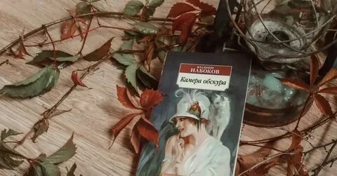 Камера обскура читать