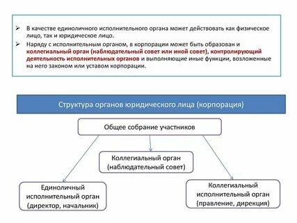 Органы юр лица ответственность