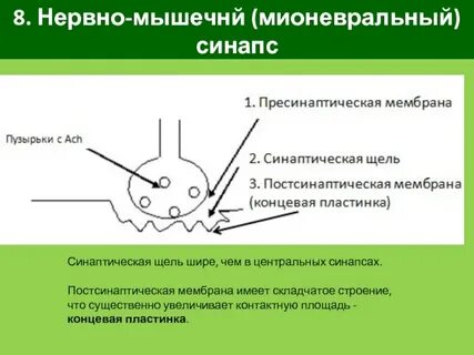 Мембран центр