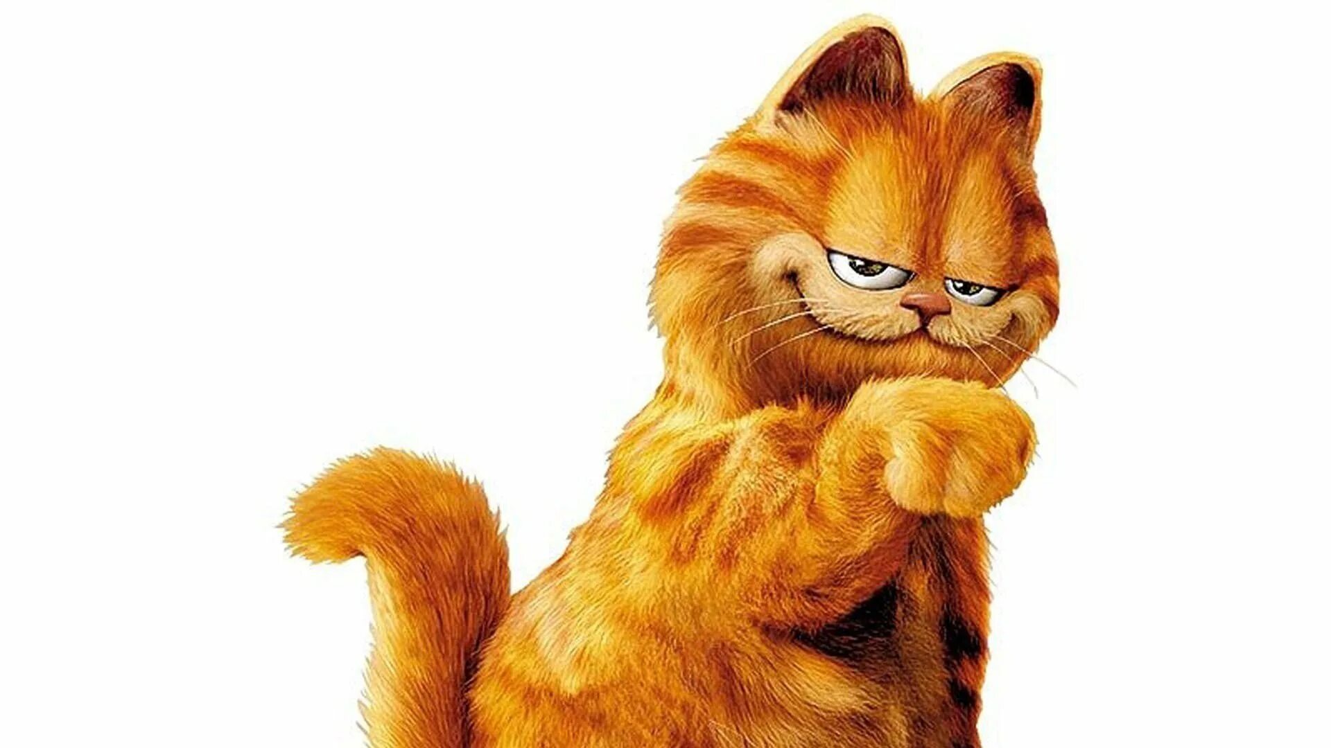 Гарфилд. Д гарфилд. Гарфилд персонажи. Д гарфилд. Garfield 3d model.