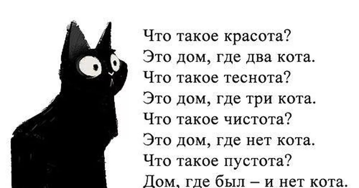 Стих про черного кота. Что такое пустота это дом где нет кота. Стишок про черного котика. Стишки про котов.