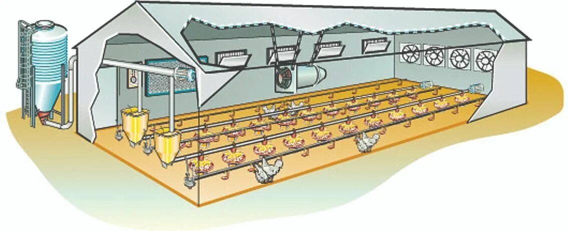 Монтаж бройлера kotelnayapodklyuch. Шнековый кормораздатчик для бройлеров. Микроклимат для бройлеров в птичнике. Микроклимат система кур бройлеров. Вентиляция в птичнике для бройлеров.