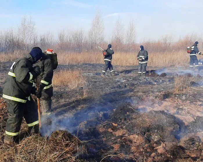 Вырос на урале. Поджигатели леса в Свердловской области.