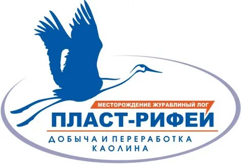 Пласт общества