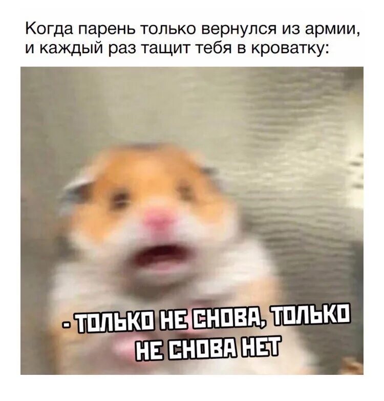 Нехило тебя таскал по брендам и бутикам