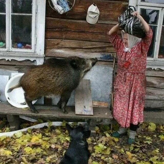У меня есть деревня. Весело в деревне. прикольная деревня. жизнь в деревне приколы. деревня юмор.