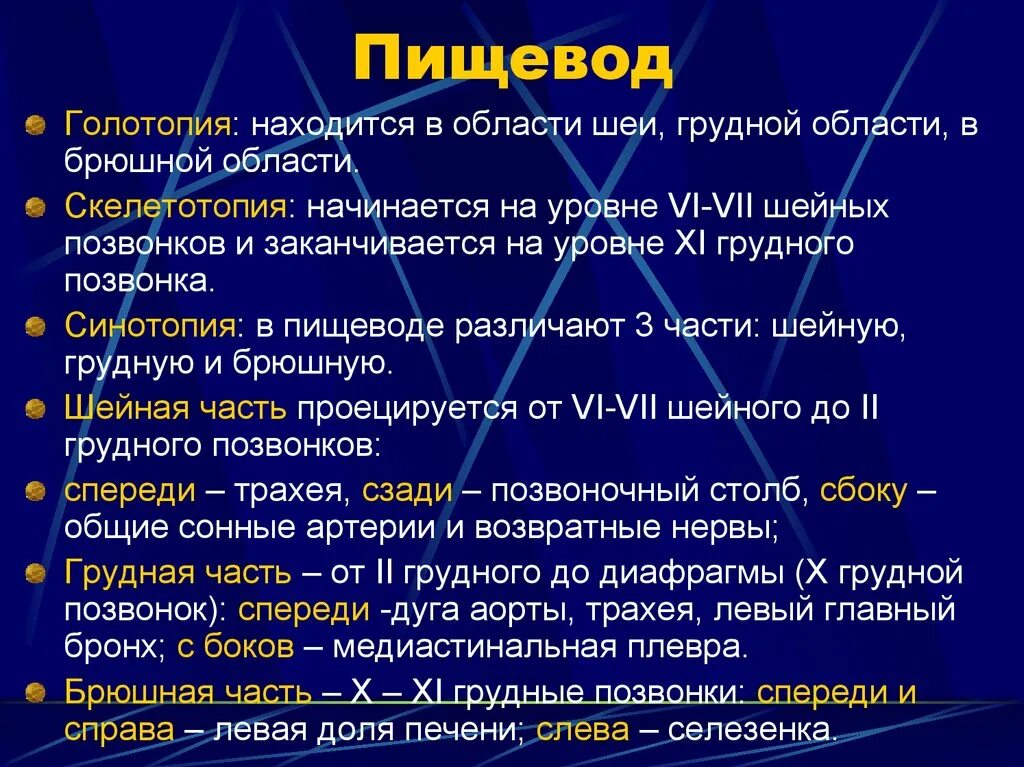 Сужение на латыни. Скелетотопия пищевода. Голотопия пищевода. Пищевод голотопия скелетотопия синтопия. Скелетотапия птшеводы.