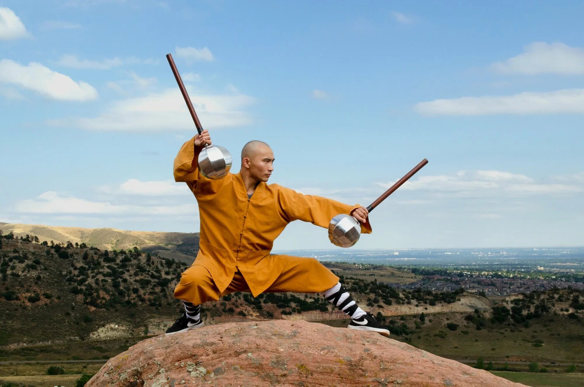 Kung fu warrior