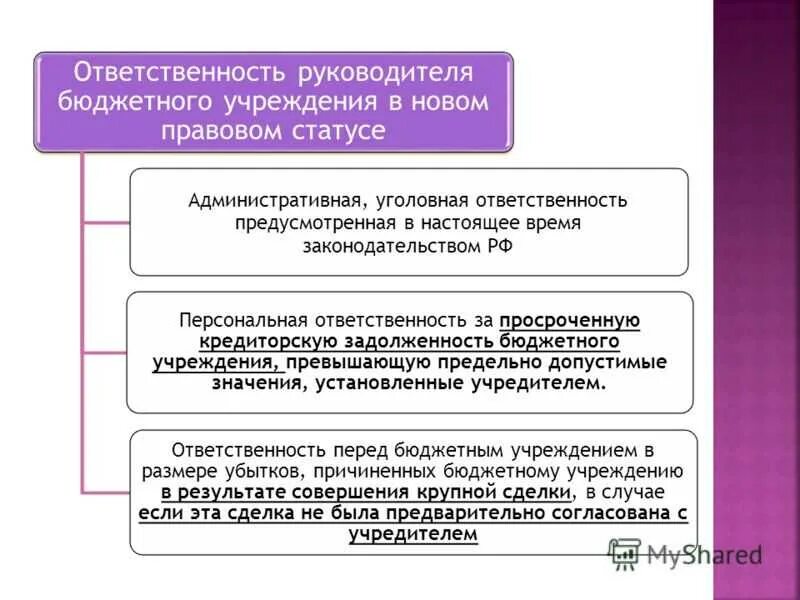 Главы бюджетных учреждений. Ответственность руководителя. Персональная ответственность руководителя. Ответственность руководителя организации. Юридическая ответственность руководителя предприятия.