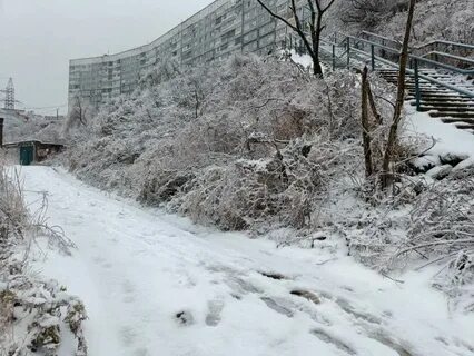 Снег в приморье