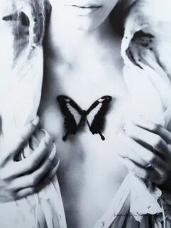 Papillons noirs