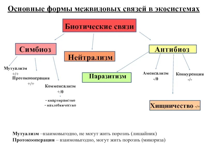 Биотические связи в природе таблица. Формы взаимоотношений организмов. Формы межвидовых отношений. Виды биотических связей. Формы взаимодействия организмов в экосистемах.