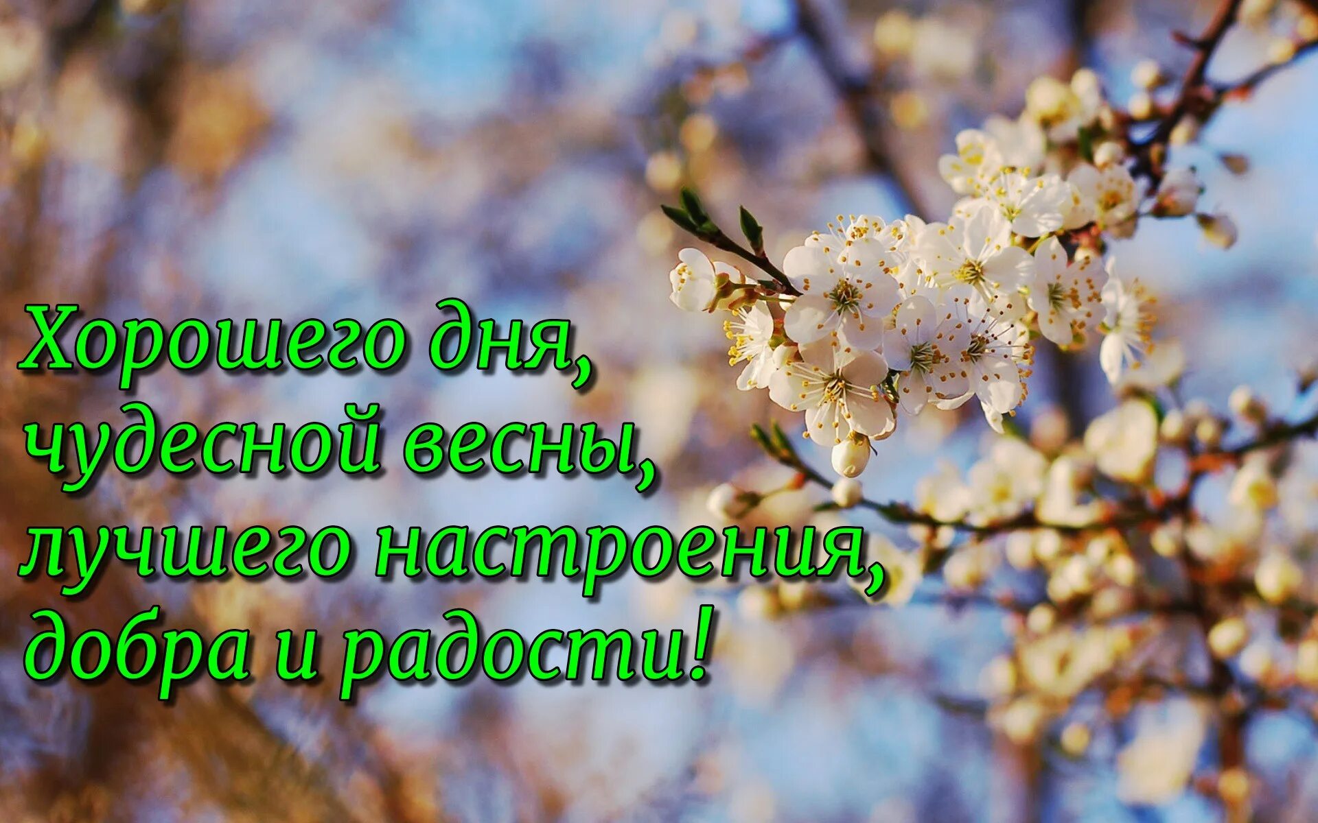 Статус про первый день весны. Статусы про весну. Отличного весеннего настроения. Статус о весне и хорошем настроении.