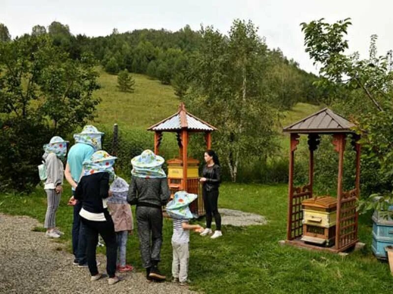 Мёдом в ухо пасека горный алтай. Бирюзовая катунь пасека мёдом в ухо. Пасека медовый рай алтай. Мёдом в ухо пасека горный алтай. Пасека в чемале горный алтай.
