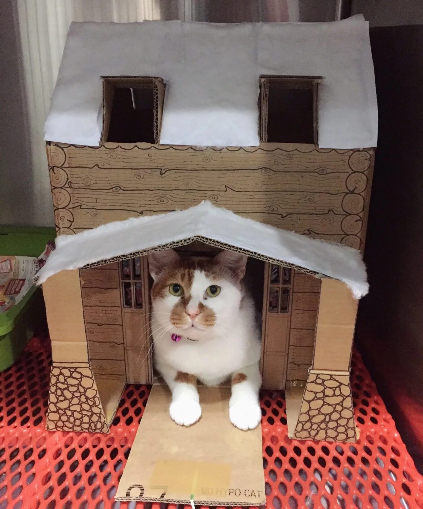 Сделать кота из коробки. Домик для кошки из коробки. Домик для кошки из коробок. Домики для котят из коробок. Домик для кошки из картона.