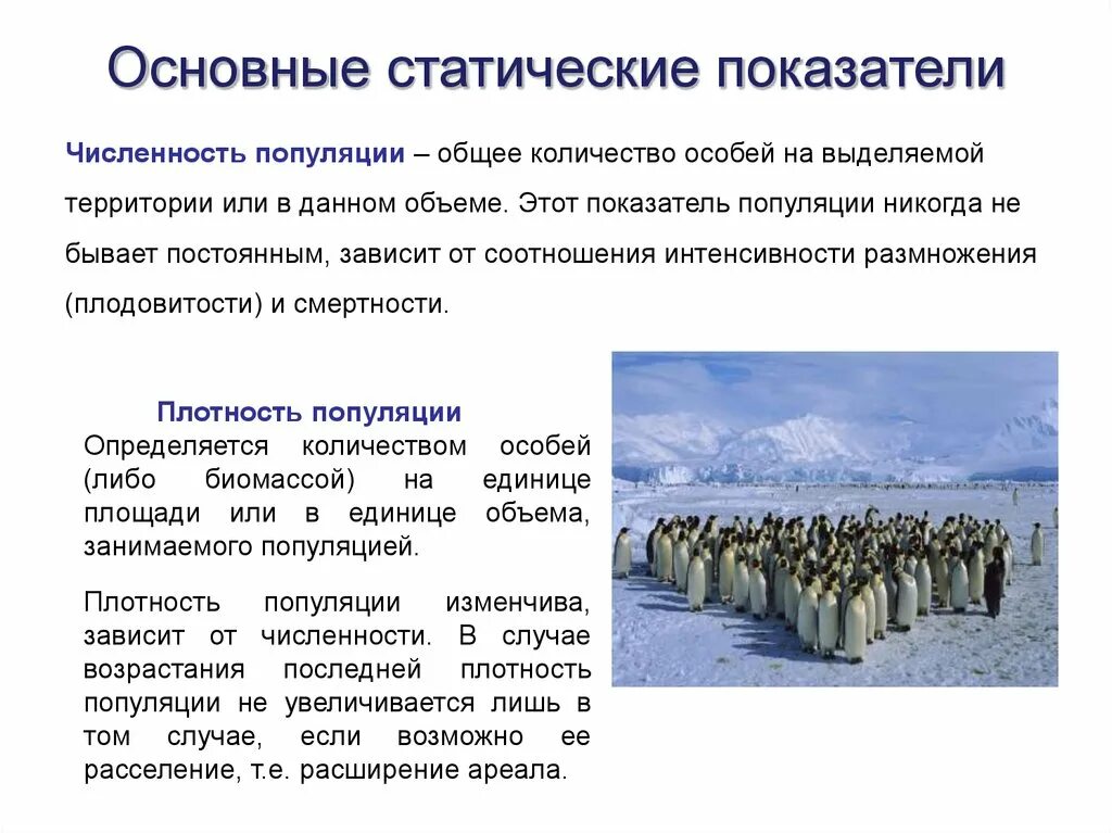 Численность статические показатели популяции. Количество особей в популяции. Популяционная экология. Общее количество особей на выделяемой территории;. Изменение численности особей популяции называют