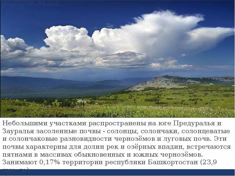 Климатические пояса уральских гор. Климатическая карта урала. Природные зоны зауралья. Природные зоны татарстана. Природные зоны урала.