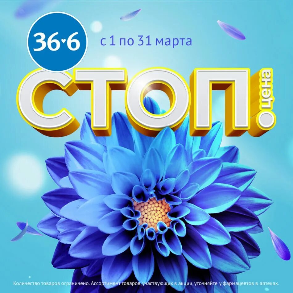 6 акции график. 6. аптечная сеть 36. 6 информация о владельцах. 6.