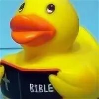 Утка 18