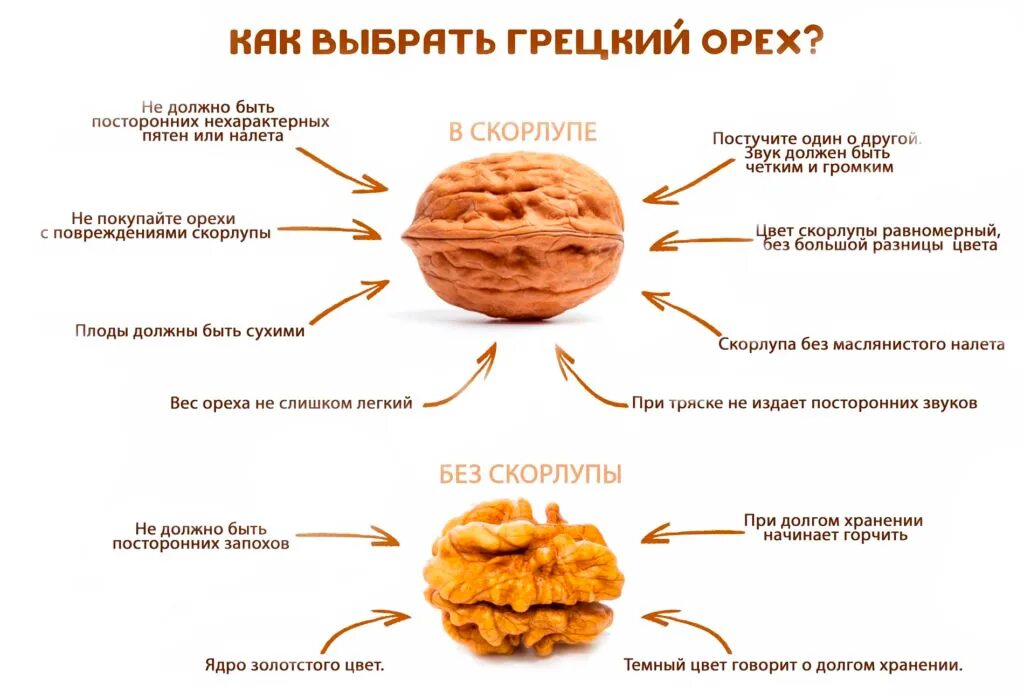Орехи польза для организма сколько нужно. Строение грецких орехов. Вес ядра грецкого ореха. Вес грецкого ореха без скорлупы 1 шт. Вес 1 ядра грецкого ореха.